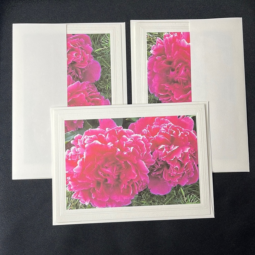 Set of 3 Hand crafted greeting cards with envelopes. Blank inside